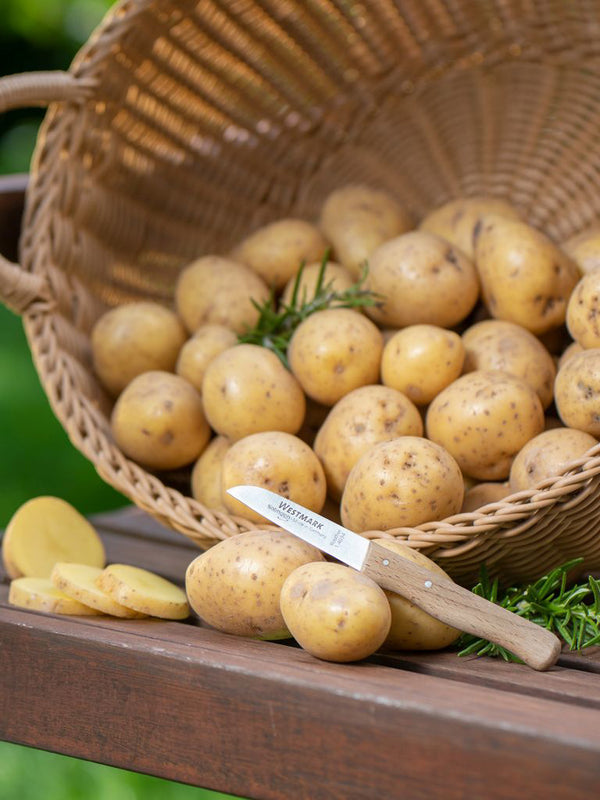 Westmark Raspen Snijden Schillen