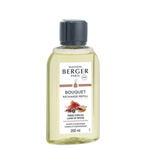 Recharge Maison Berger - pour bâtonnets parfumés - Terre d'Épices - 200 ml