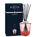 Bâtonnets parfumés Maison Berger Terra Rouge (sans parfum d'ambiance)