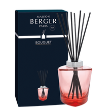 Bâtonnets parfumés Maison Berger Terra Rouge (sans parfum d'ambiance)