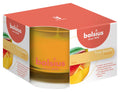 Bolsius Geurkaars True Scents Mango - 6 cm / ø 9 cm