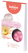 Bolsius Wax Melts True Scents Magnolia - 6 Pièces