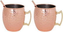Cosy & Trendy Moscow Mule Cocktailbekers met Rietjes - Gehamerd Koper - 450 ml - 2 Stuks