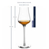 Verres à liqueur Leonardo Brunelli 210 ml - 6 pièces