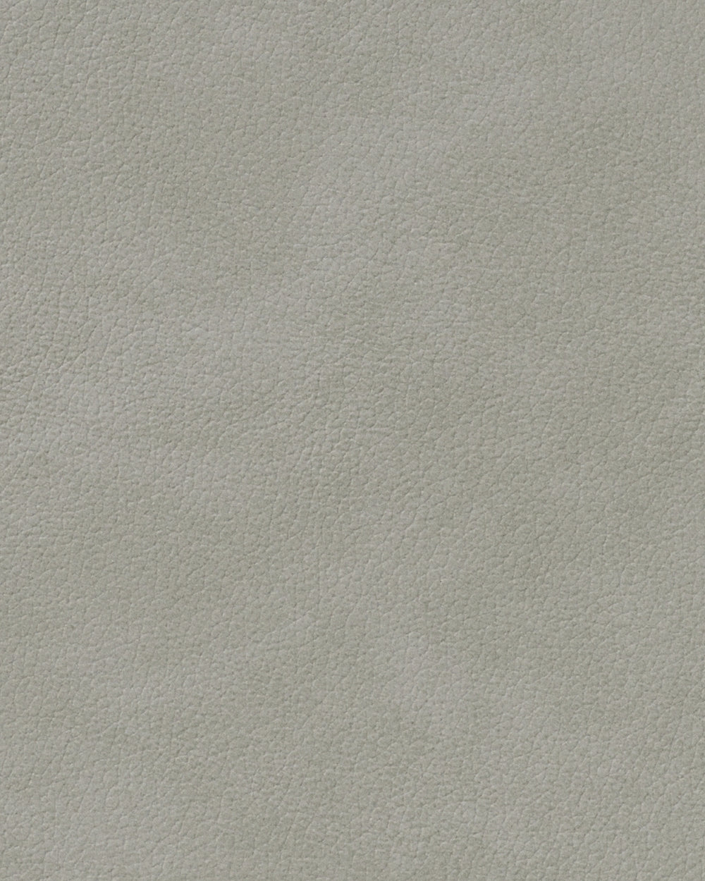 LIND DNA Placemats Nupo - Leer - Lichtgrijs 45 x 35 cm - 2 Stuks