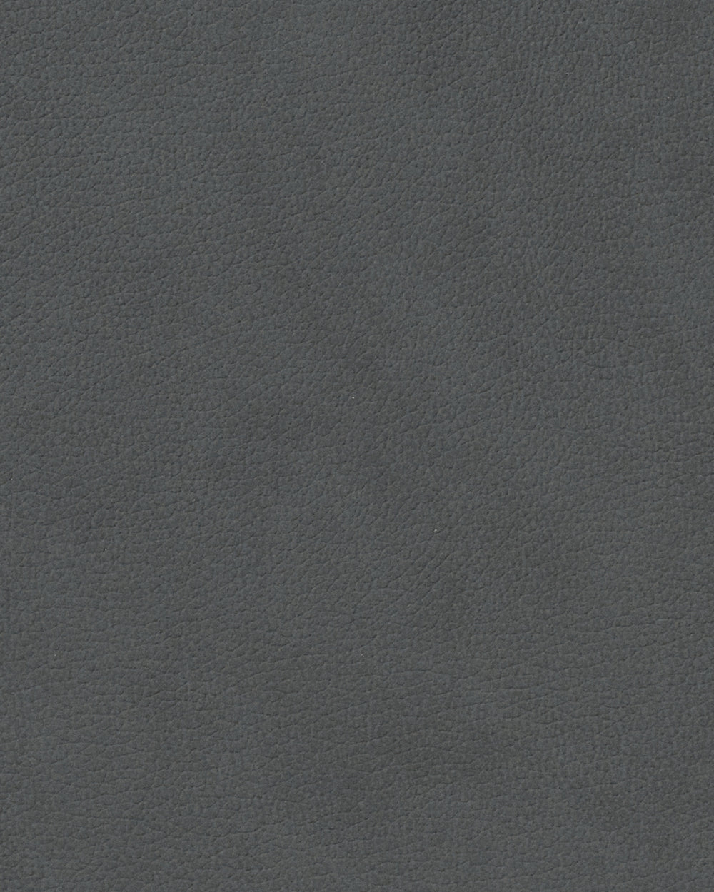 LIND DNA Placemats Nupo - Leer - Anthracite - 45 x 35 cm - 2 Stuks