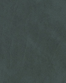 LIND DNA Placemats Nupo - Leer - Dark Green - Curved - 44 x 37 cm - 2 Stuks