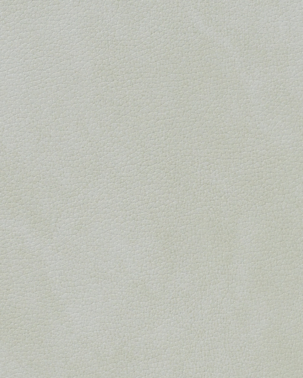 LIND DNA Placemats Nupo - Leer - Metallic - Curved - 44 x 37 cm - 2 Stuks