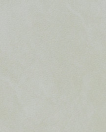 LIND DNA Placemats Nupo - Leer - Metallic - Curved - 44 x 37 cm - 2 Stuks