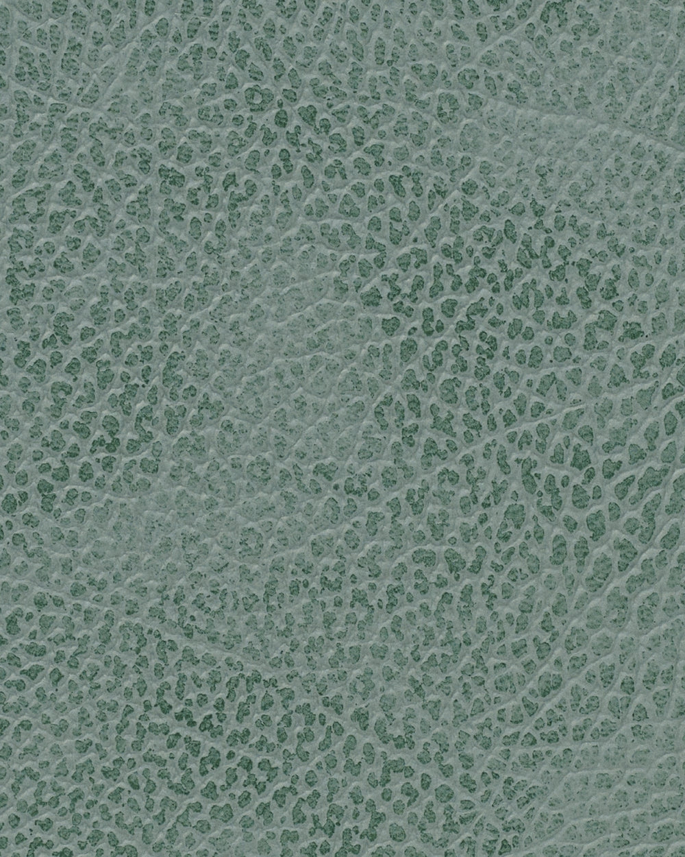 LIND DNA Placemats Hippo - Leer - Pastel Green - Curved - 44 x 37 cm - 2 Stuks