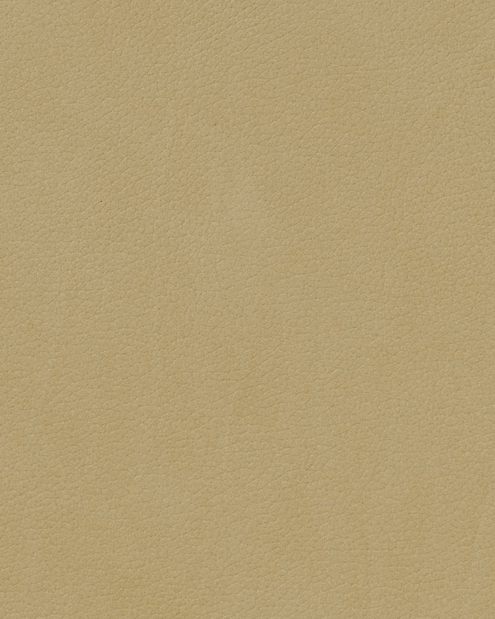 LIND DNA Placemats Nupo - Leer - Khaki - 45 x 35 cm - 2 Stuks