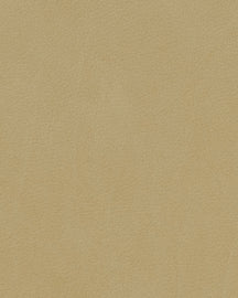 LIND DNA Placemats Nupo - Leer - Khaki - 45 x 35 cm - 2 Stuks