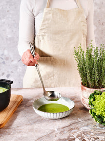 Cosy & Trendy Pollepel - Soeplepel - Delish Plus - RVS