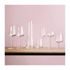 Verres à champagne Iittala Essence 210 ml - 2 pièces