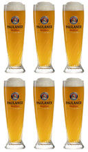 Verres à bière Paulaner Weizen - 300 ml - 6 pièces