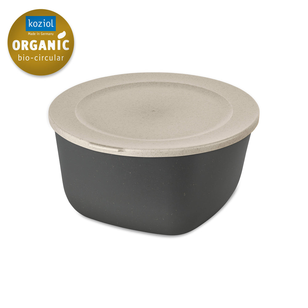 Koziol Fresh Conteneur Connect Gris 25 x 25 x 13 cm / 4 Litres