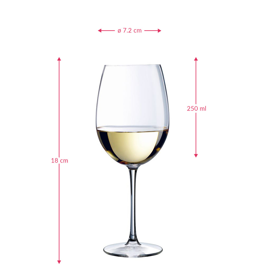 Verres à Vin Blanc Cabernet Chef &amp; Sommelier - 250 ml - 6 pièces