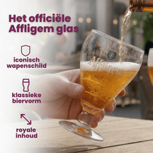 Affligem Bierglazen - 300 ml - 6 stuks
