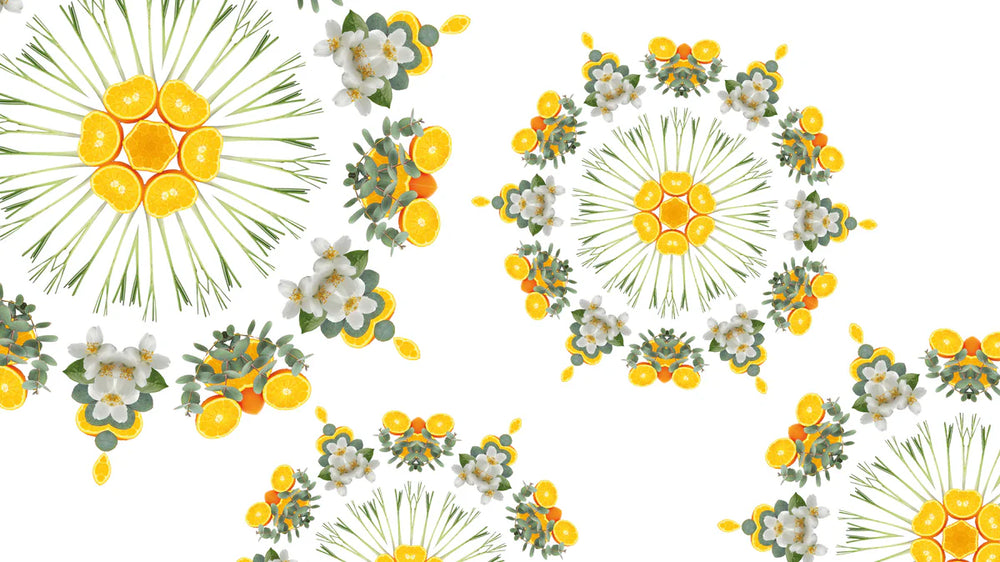 Maison Berger Geurstokjes Citronelle 100 ml