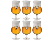 Verre à Bière Alfa Sommelier - 250 ml - 6 pièces