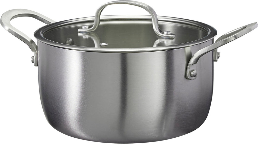 Cookinglife Kookpan met Glazen Deksel Signature Steel - RVS - ø 20 cm / 2.2 Liter - geschikt voor alle warmtebronnen