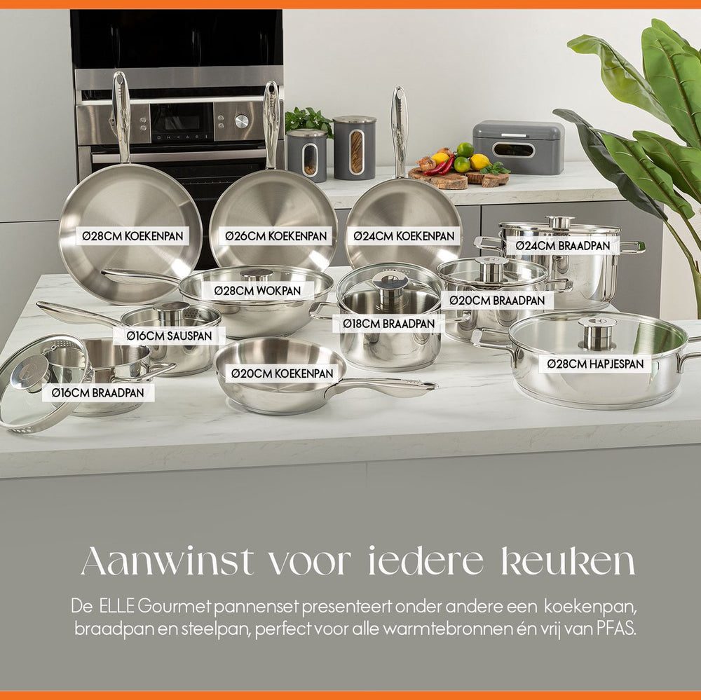 ELLE Gourmet Classique Koekenpan - Ø 24 cm  - Zonder anti-aanbaklaag  - RVS