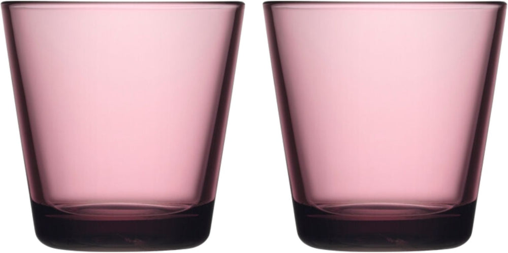 Iittala Waterglazen Kartio - Calluna - 210 ml - 2 Stuks