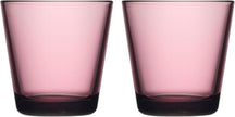 Iittala Waterglazen Kartio - Calluna - 210 ml - 2 Stuks