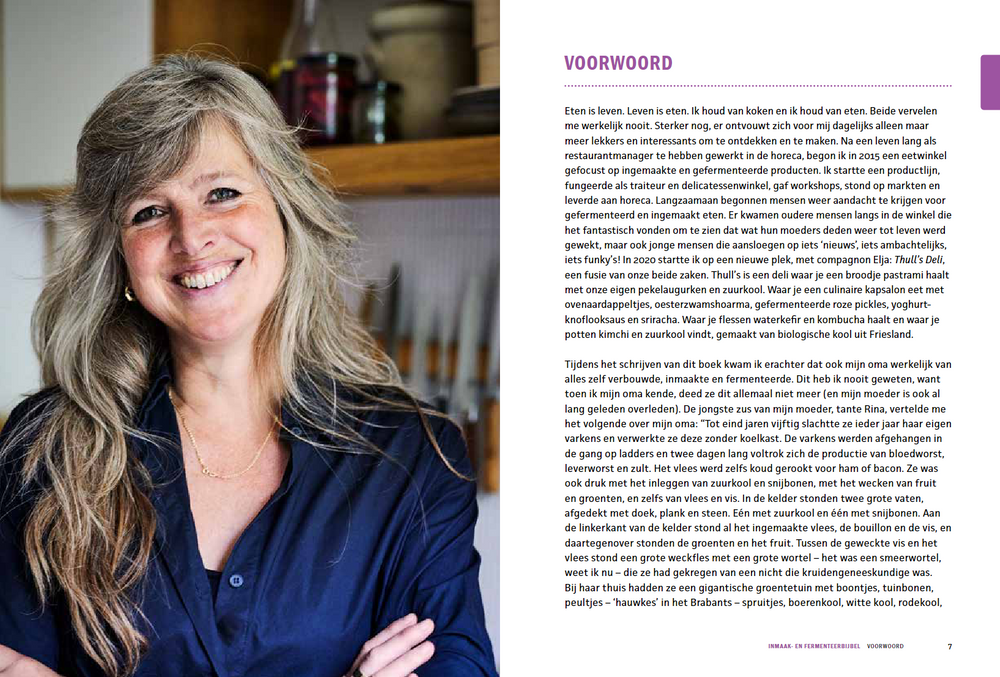 Kookboek - Inmaak- en fermenteerbijbel