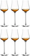 Verres à liqueur Leonardo Brunelli 210 ml - 6 pièces