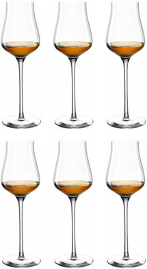 Verres à liqueur Leonardo Brunelli 210 ml - 6 pièces