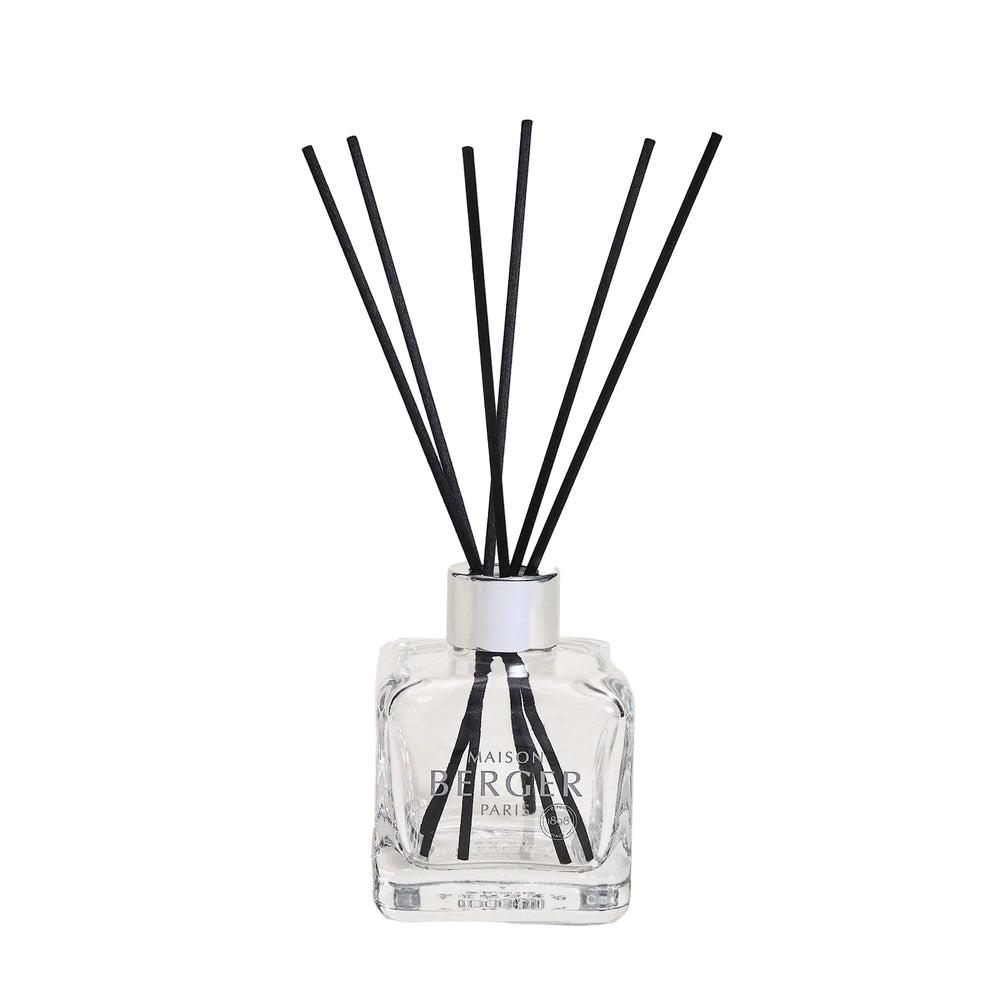 Maison Berger Geurstokjes Cube - Pure White Tea - 100 ml