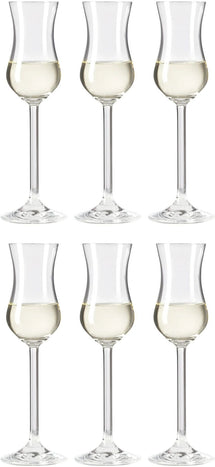 Leonardo Verres à Grappa Daily - 100 ml - 6 pièces