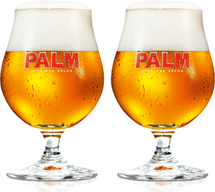 Palm Bierglas - 250 ml - 2 stuks