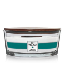 Bougie parfumée WoodWick Ellipse Icy Woodland Trilogy - 9 cm / 19 cm