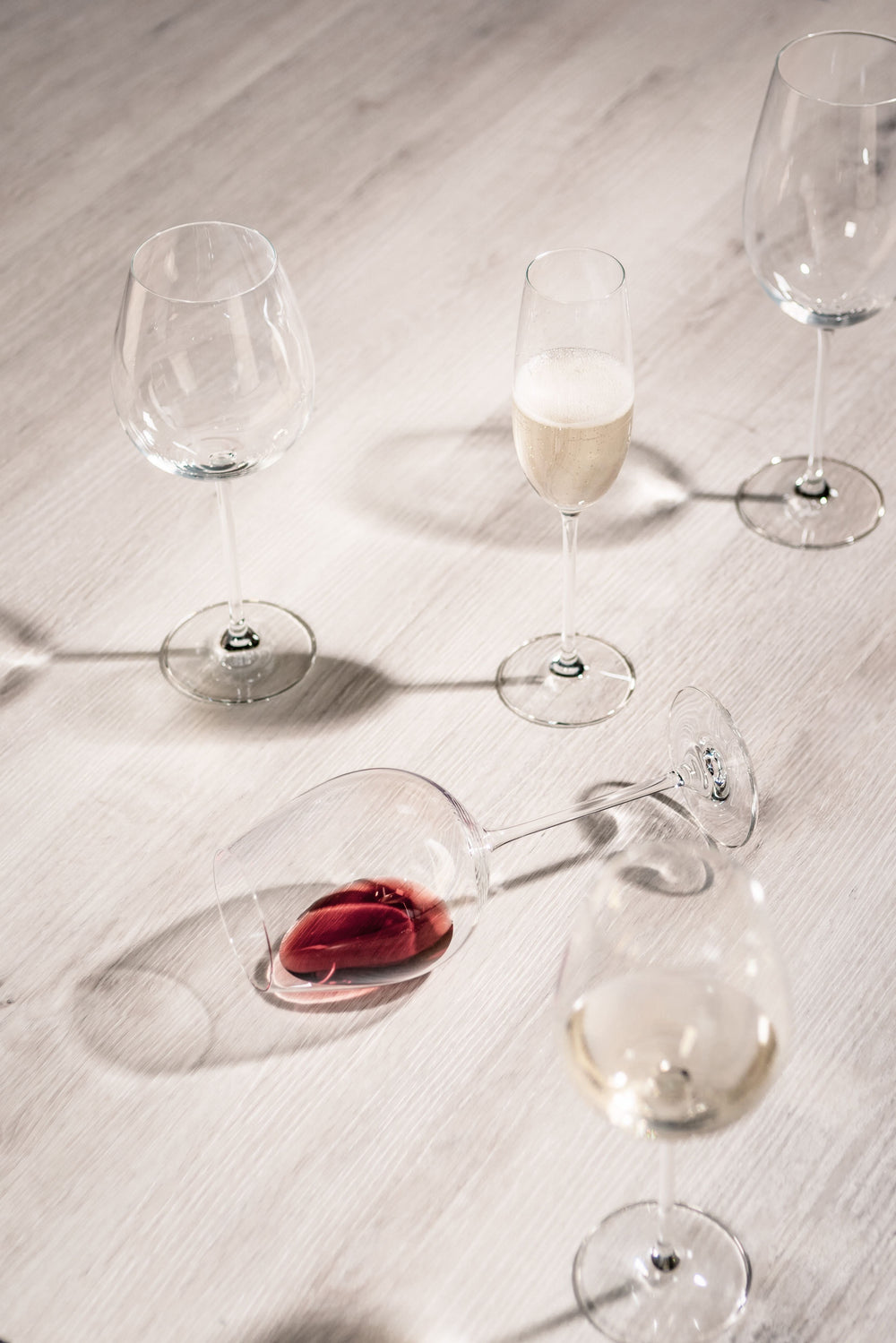 Verres à vin blanc Schott Zwiesel Vinos 460 ml - 4 pièces