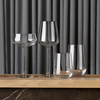 Verres à vin rouge Iittala Essence 450 ml - 4 pièces