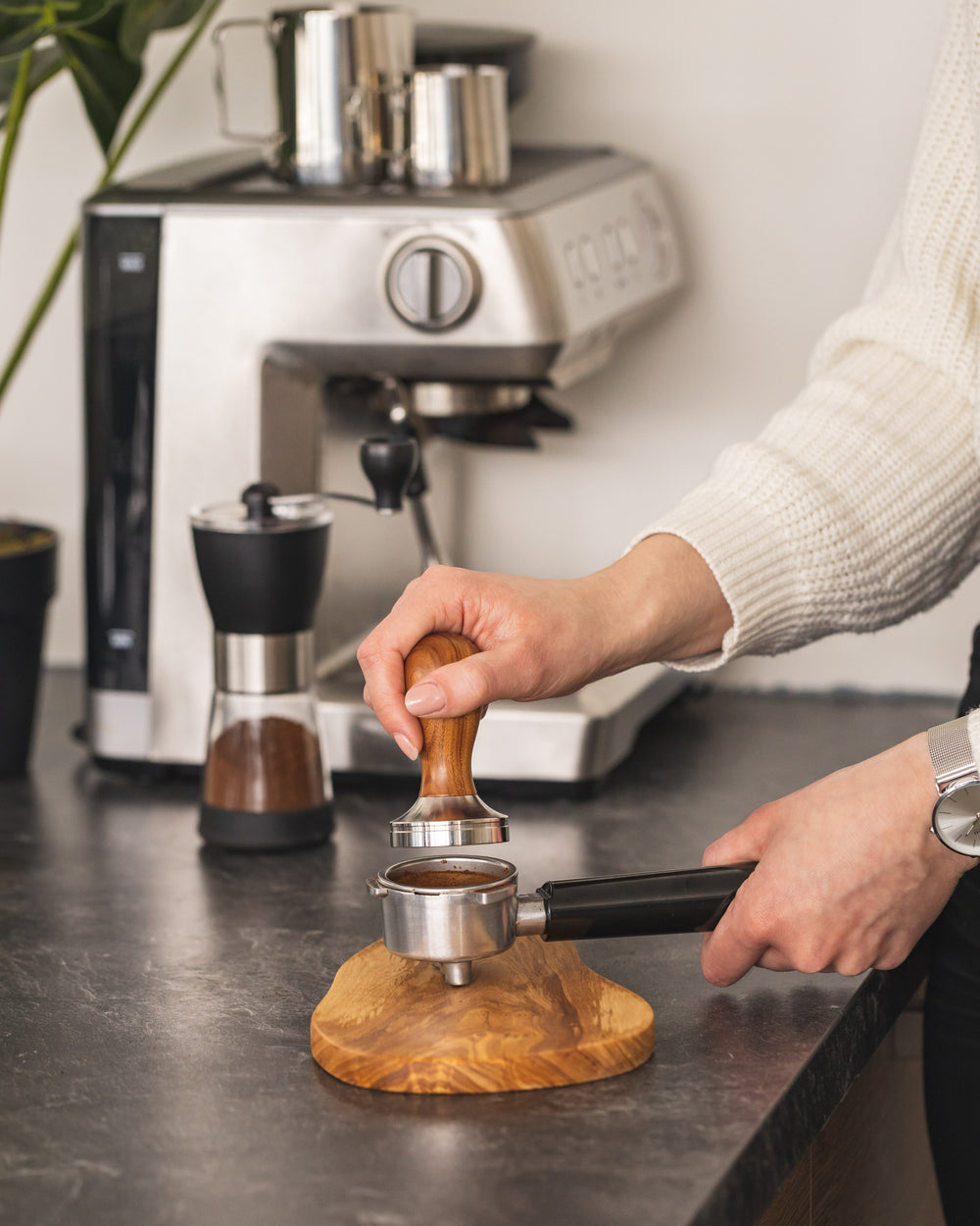 Tamper à café Jay Hill Coffee Barista - Palissandre - ø 50,8 mm