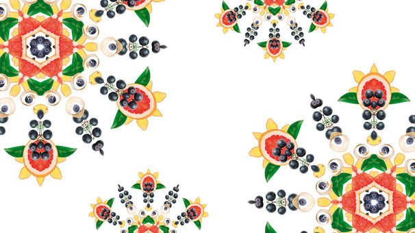 Maison Berger Navulling - voor geurbrander - Fresh Spirit - 500 ml