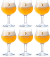 Straffe Hendrik Bierglas - 250 ml - 6 stuks